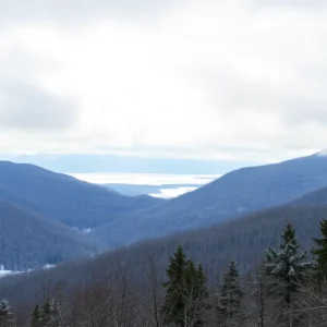 Winter landscape showcasing snow-covered mountains in North Carolina.