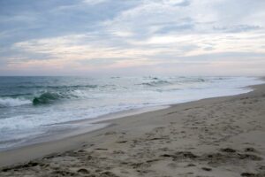 Jonathan Howell Named NC Marine Fisheries Director